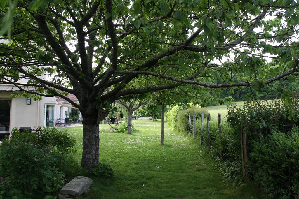 Guigneville-sur-Essonne La Raimbaudiere Bed & Breakfast エクステリア 写真