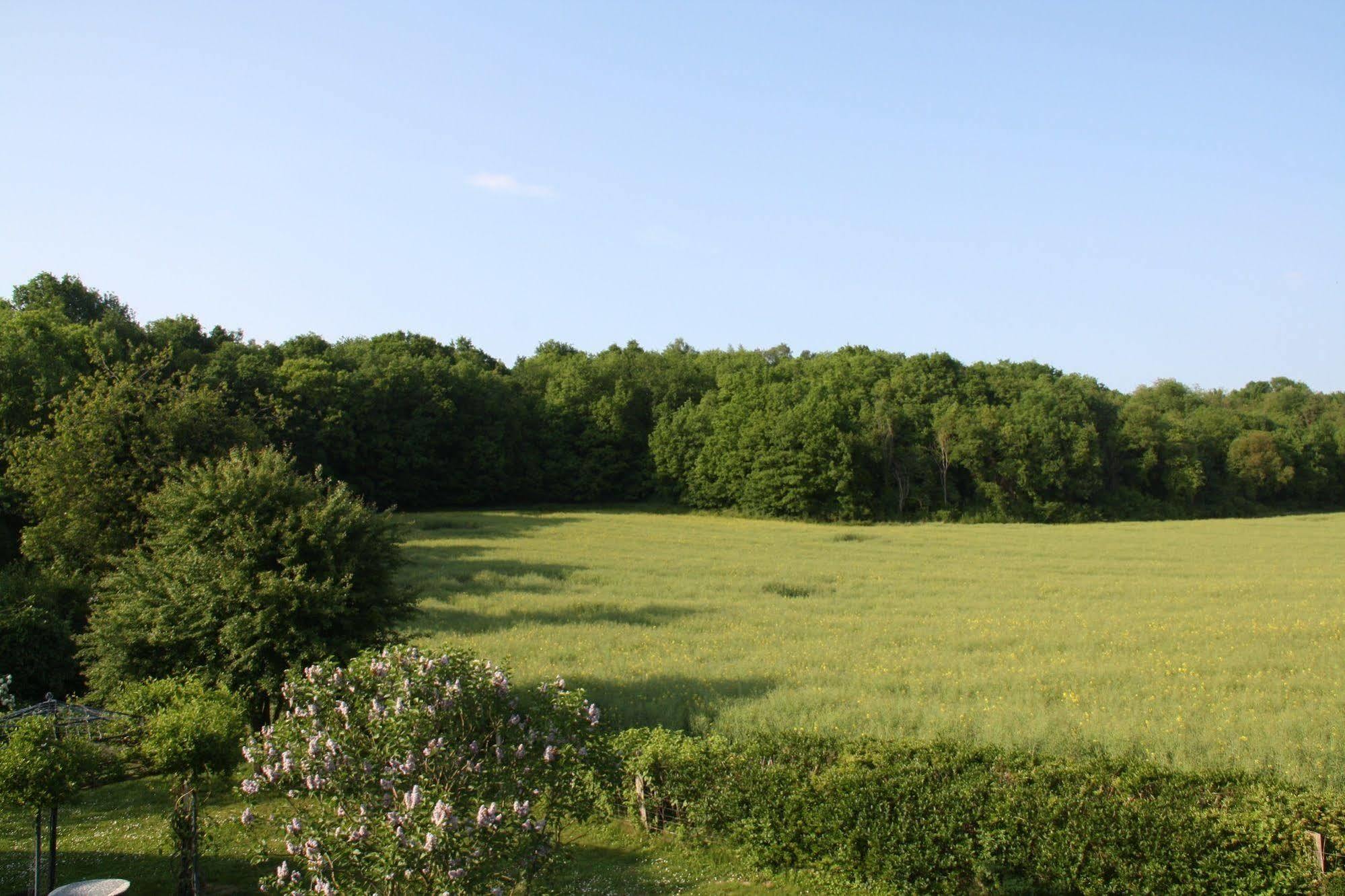 Guigneville-sur-Essonne La Raimbaudiere Bed & Breakfast エクステリア 写真