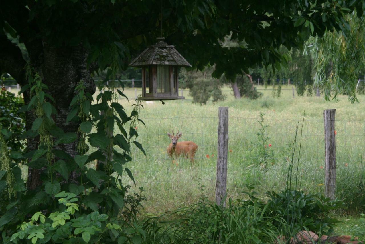 Guigneville-sur-Essonne La Raimbaudiere Bed & Breakfast エクステリア 写真